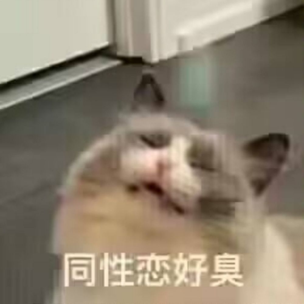 沙威玛大王（男糕版）