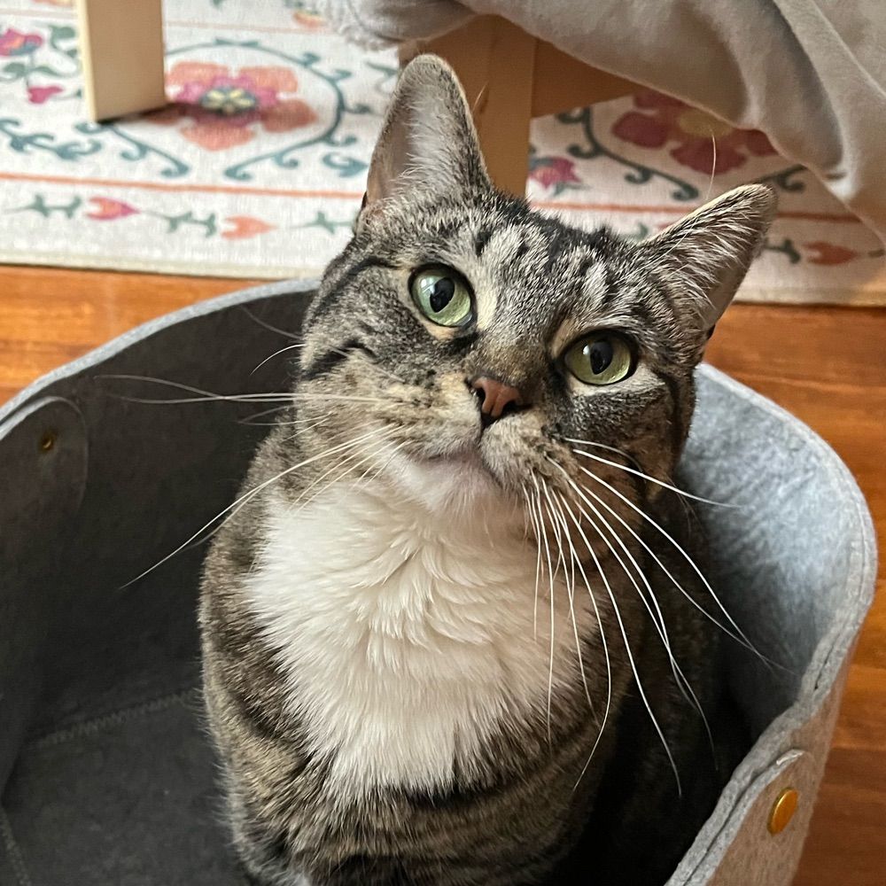 Ella 🌈