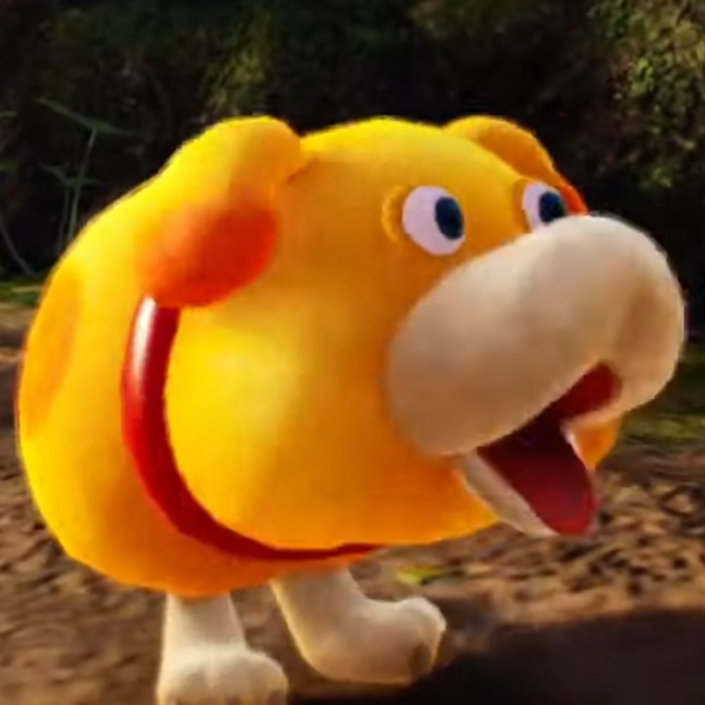 Bumpa Dumpa