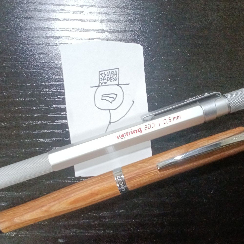 つばさですよ