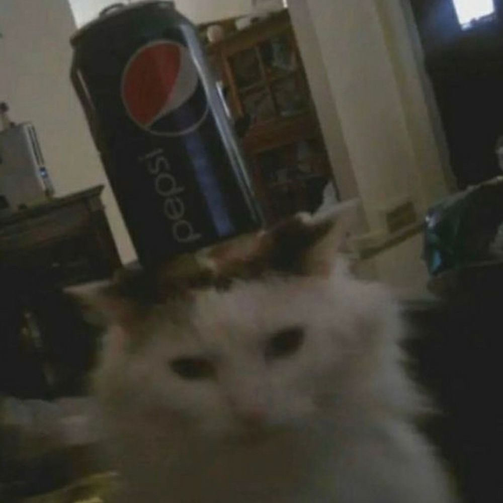 Totox