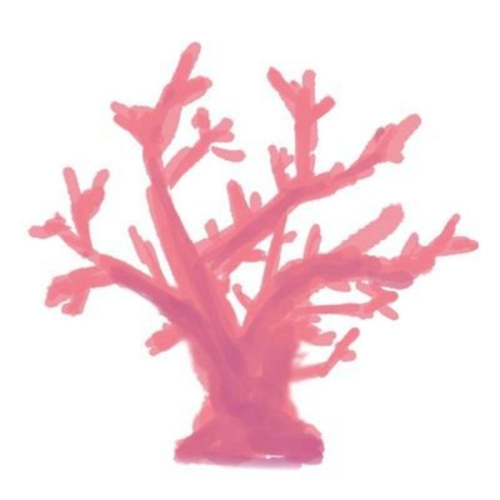桜牙サンゴ