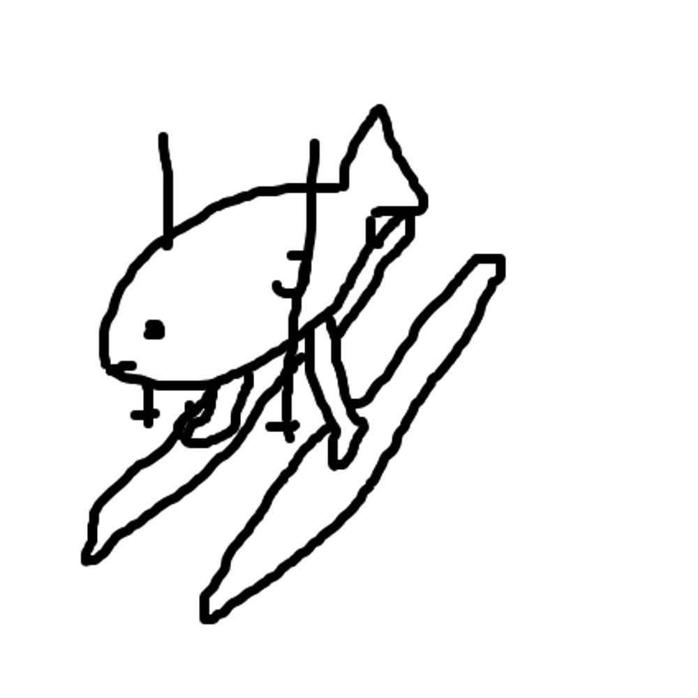 Monga
