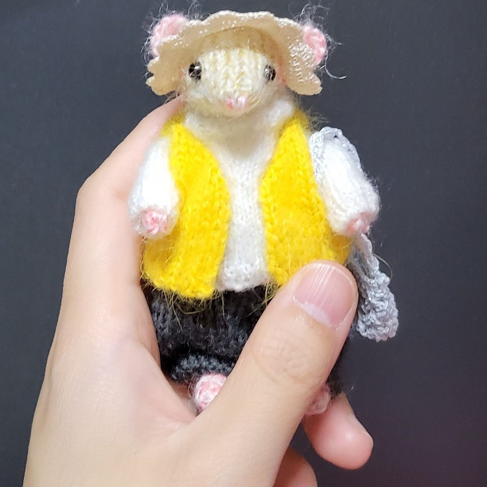 모몽가
