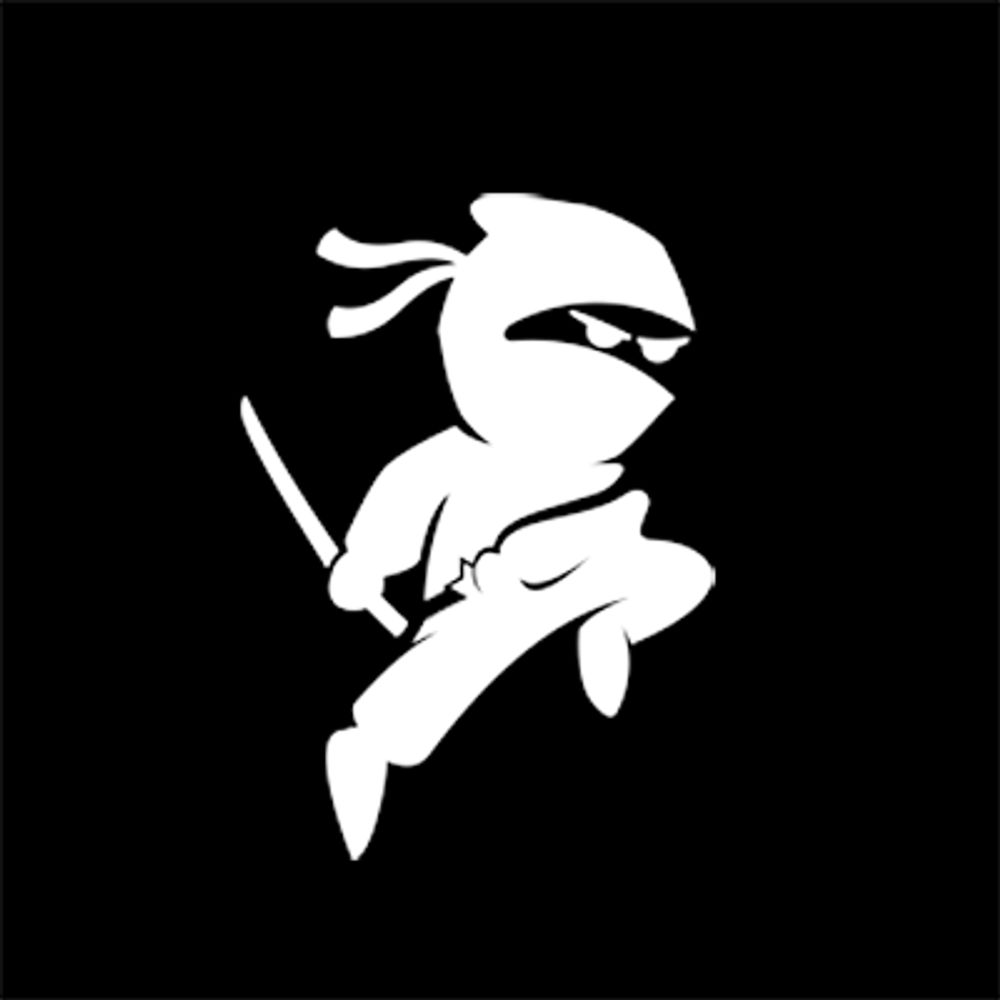Ninja Playground