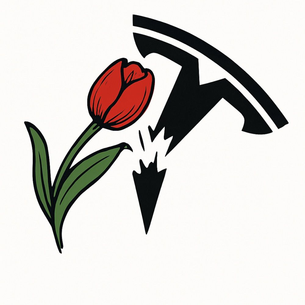 Tesla Takedown Ottawa
