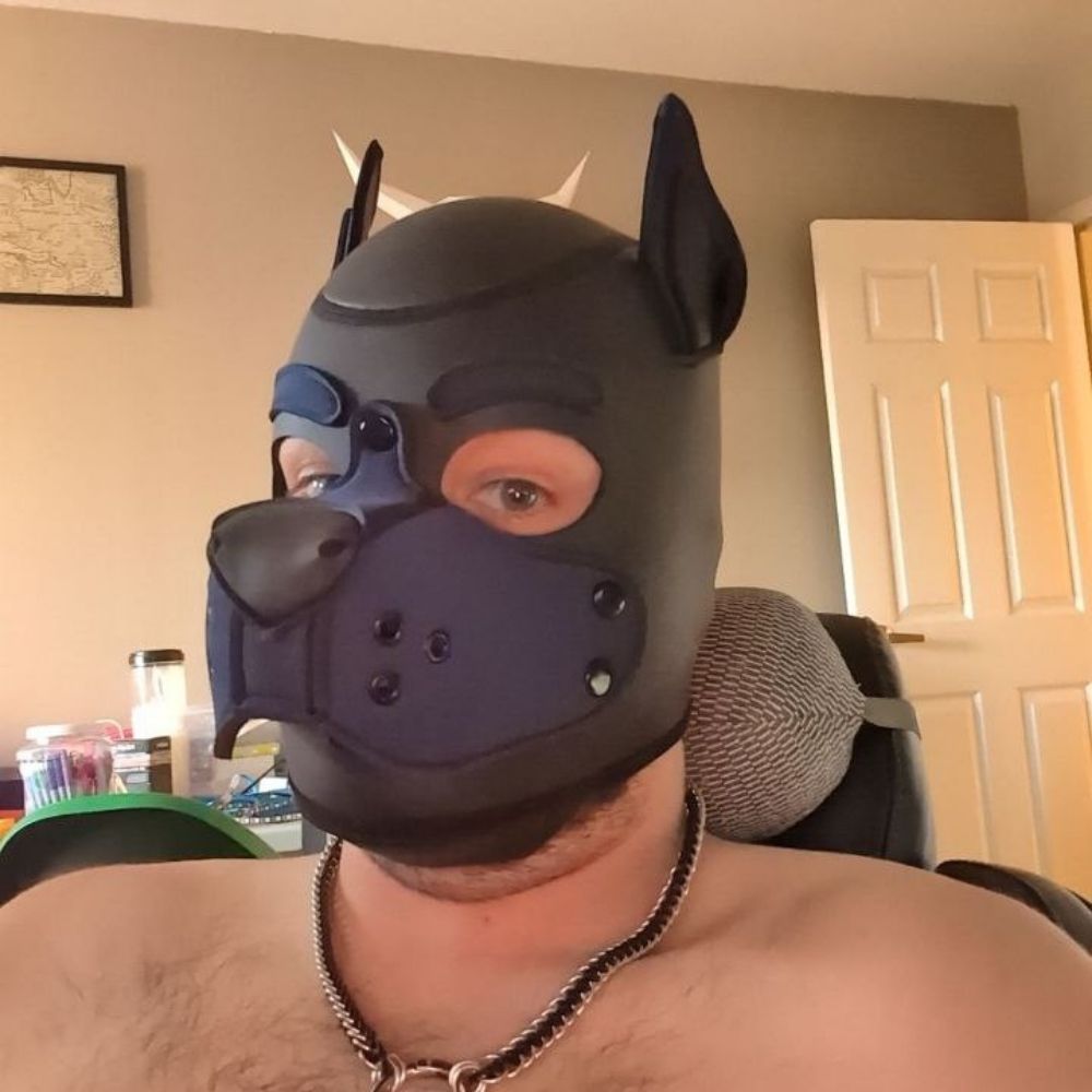 Pup Jasper