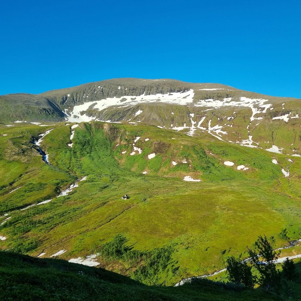 Sturla Vik