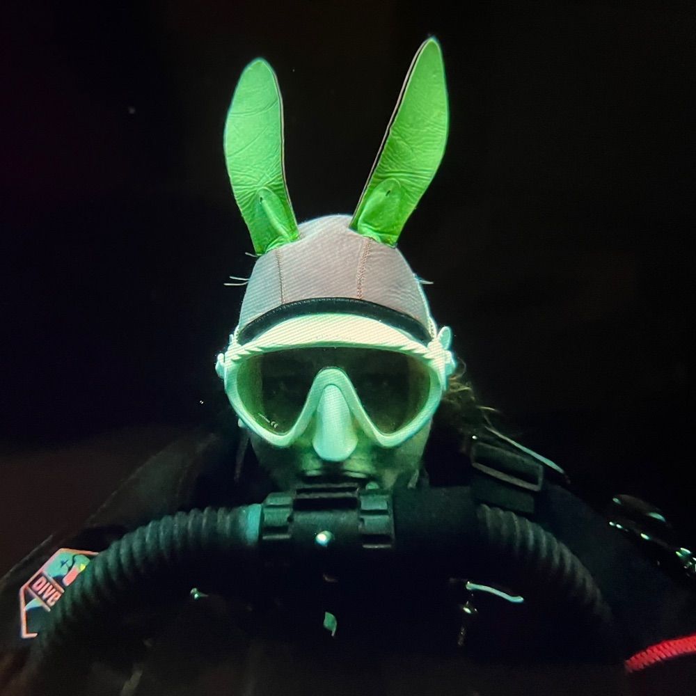 CC Diver