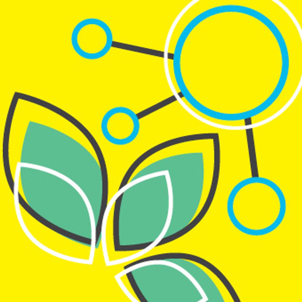 Growth Hub
