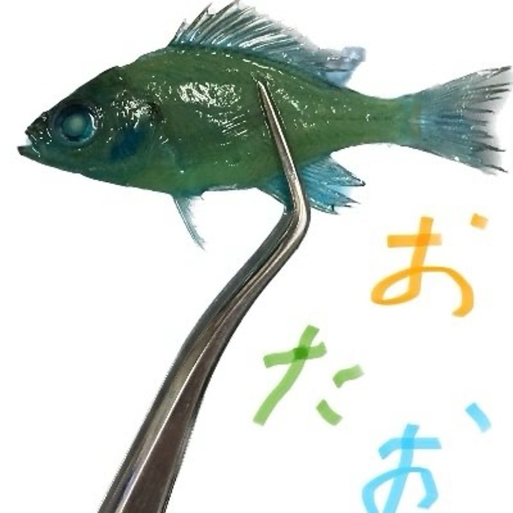ウォーカー