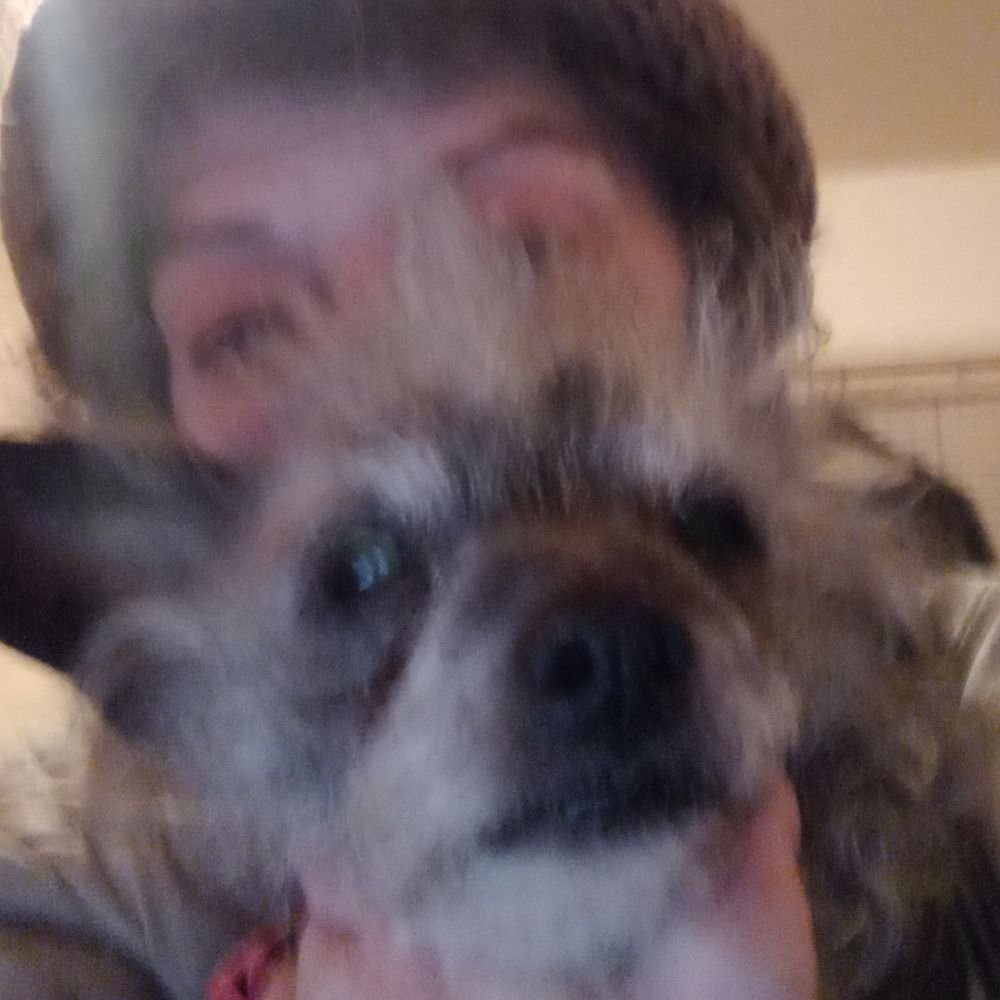 (((kid yid & her jew dog)))