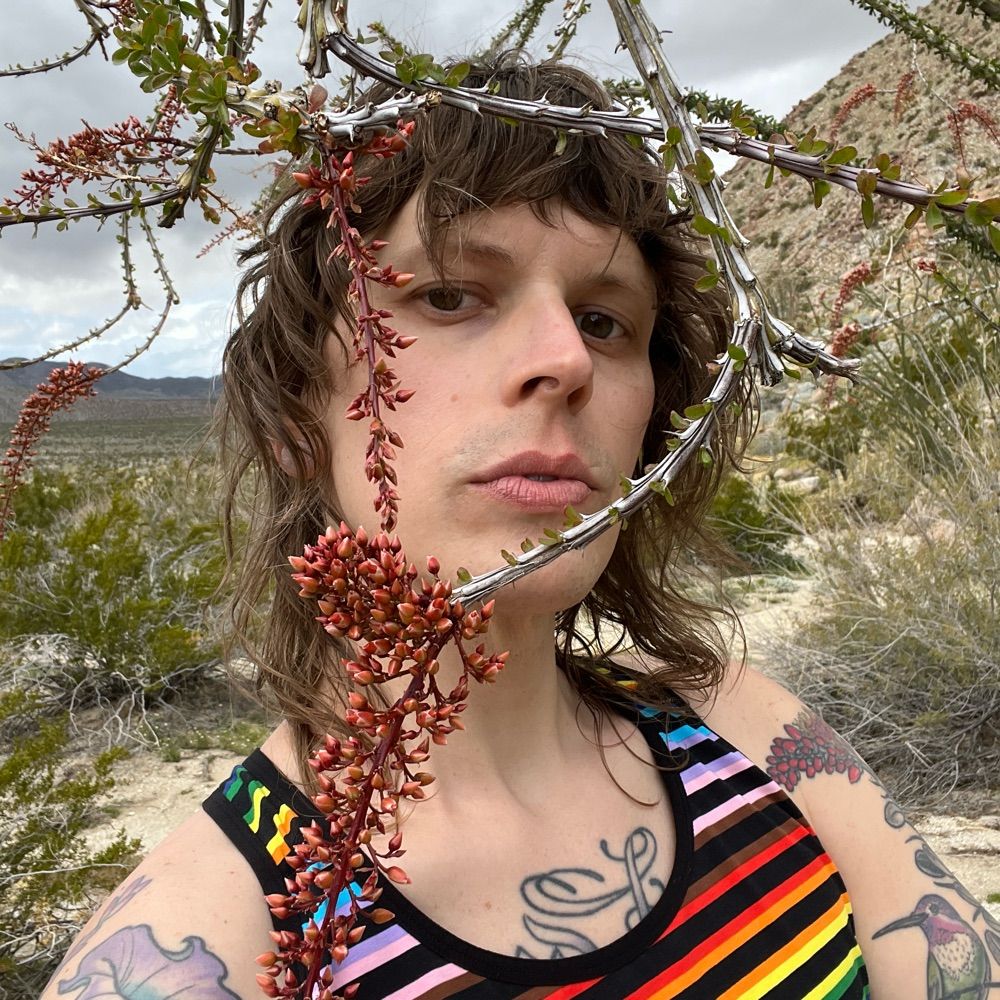 laurel birch