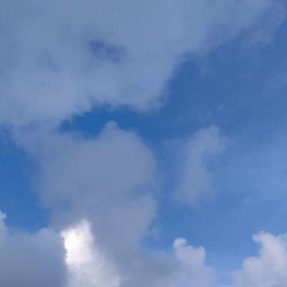 まどうし