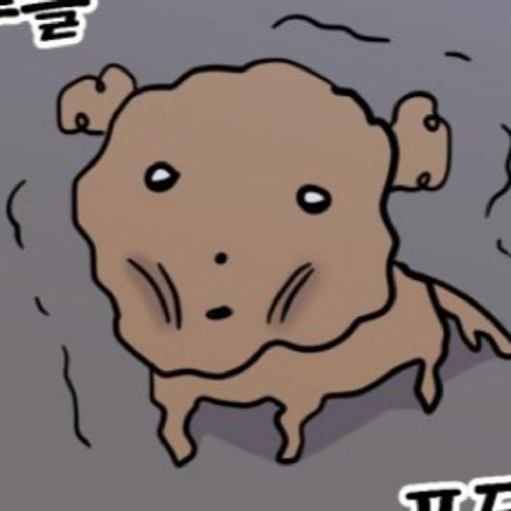 dodo