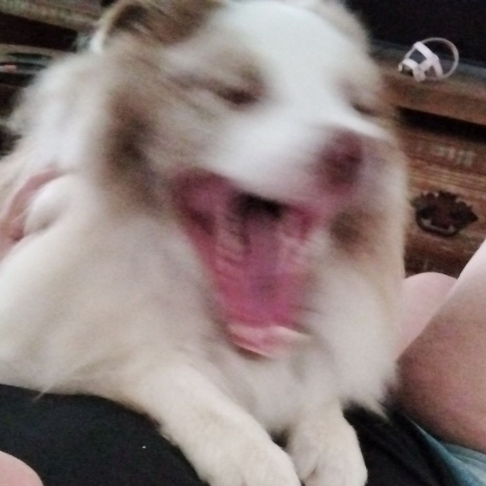 ~~`