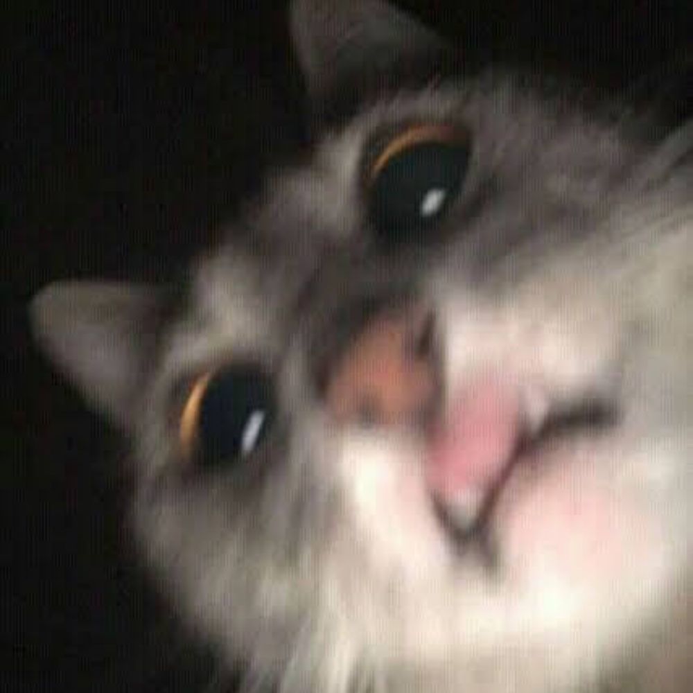 lau⛧