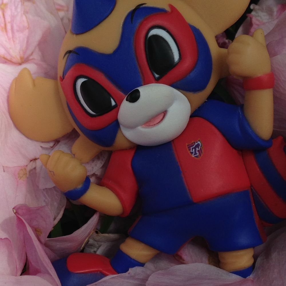 aoakamiiko
