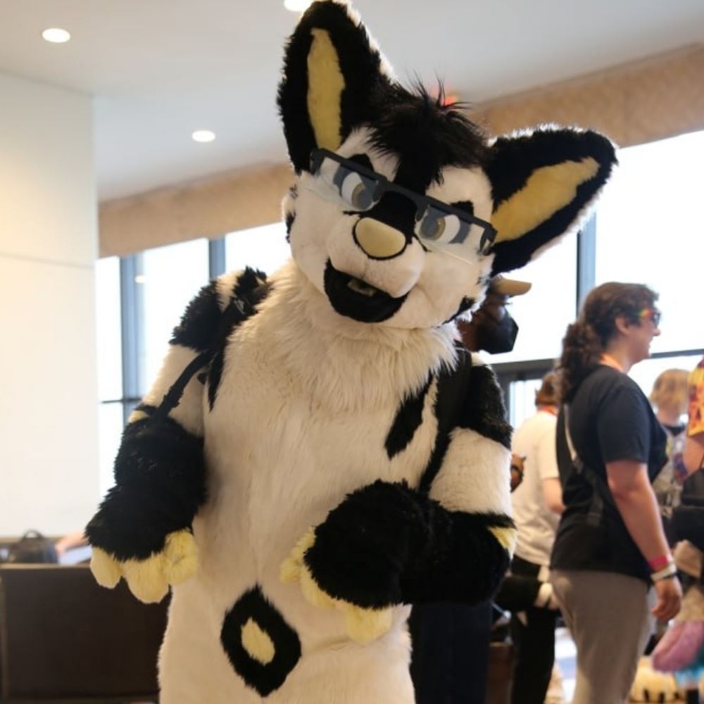 Koss, FWA, AC