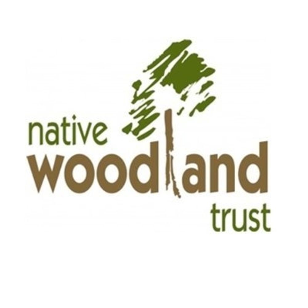 Ireland's Native Woodland Trust 's avatar