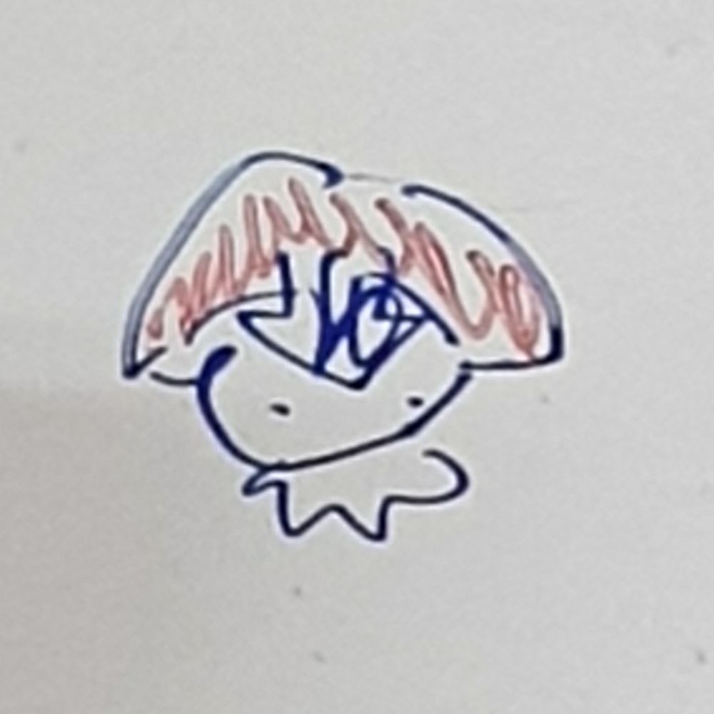 죠돌