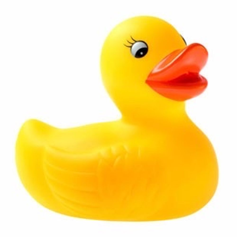 Plastic Duck 🍉's avatar