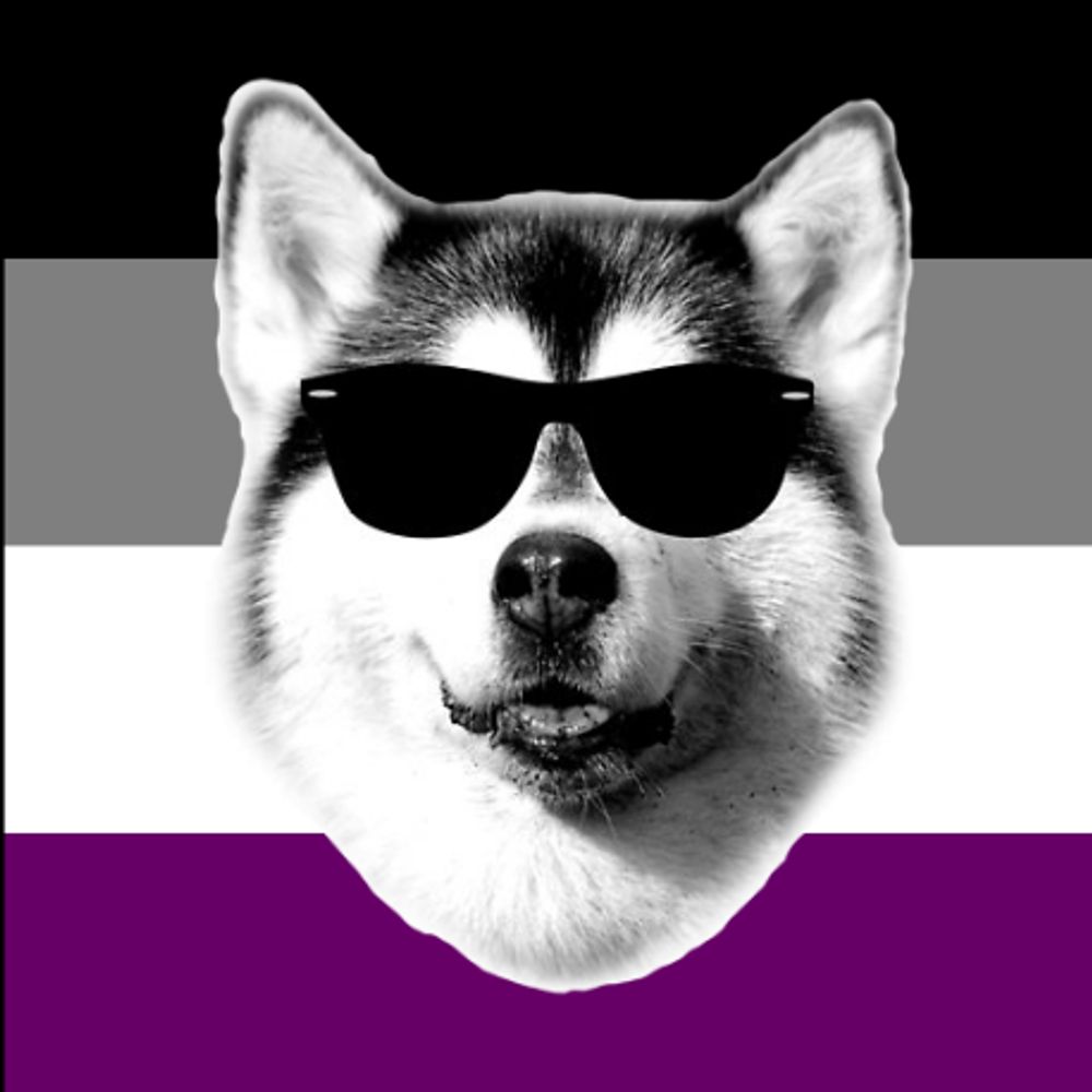 An Anonymous Husky