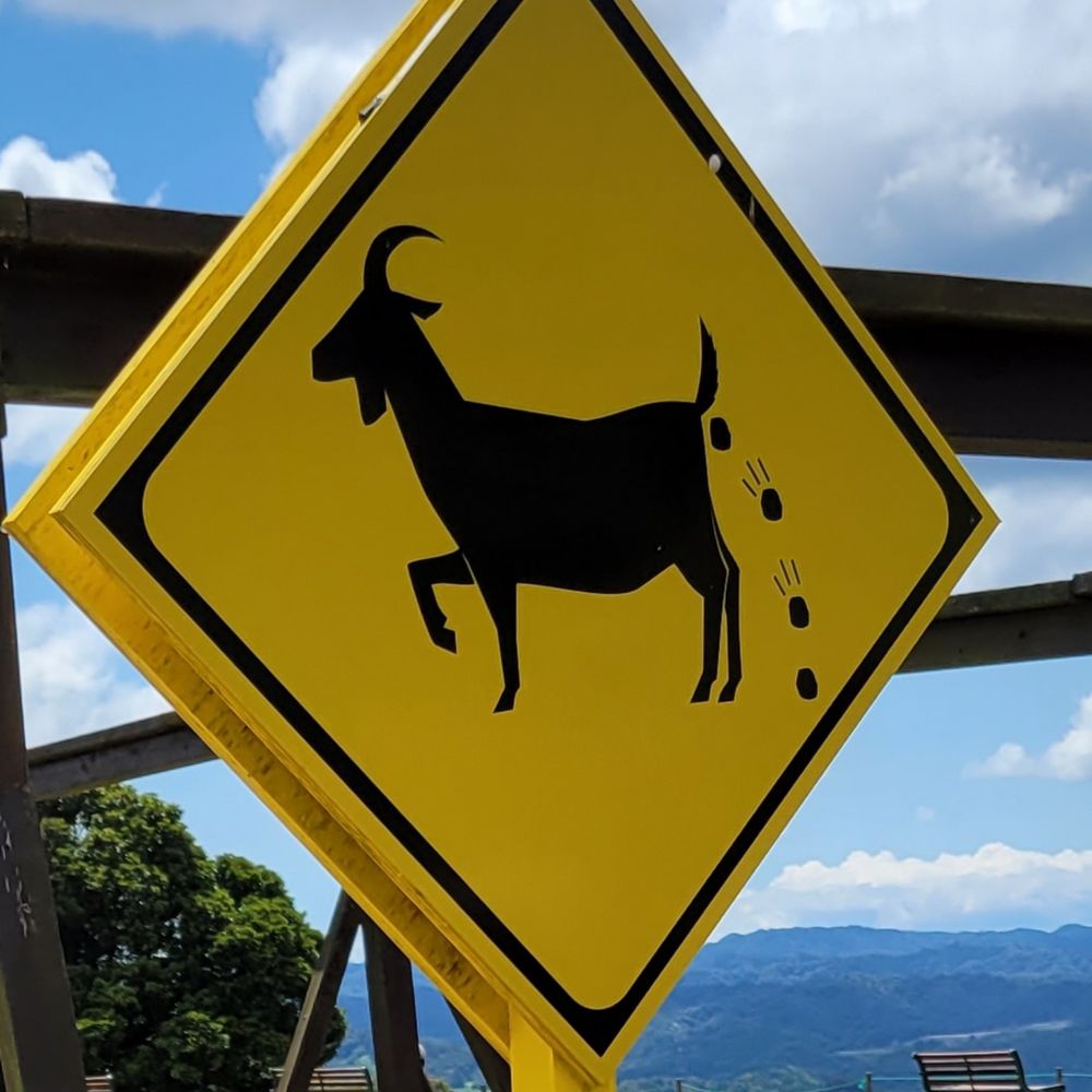 🏞️