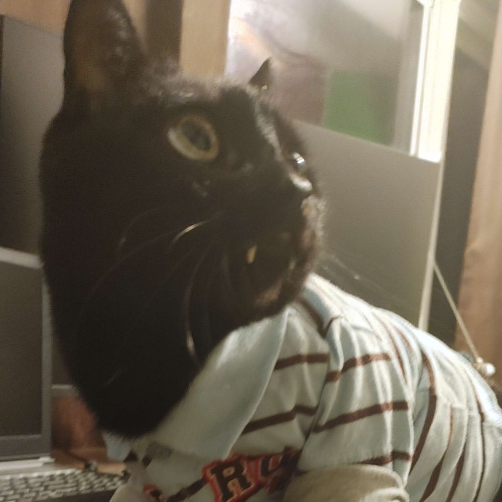 LunaKat