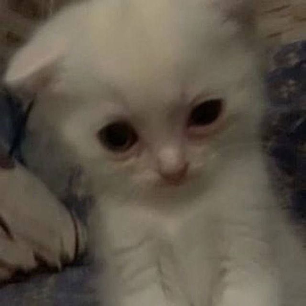Snafu