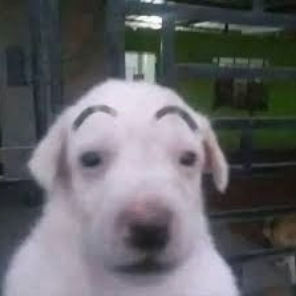 My