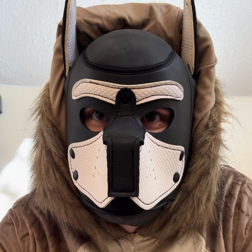 Paw Pup Myro 🐾