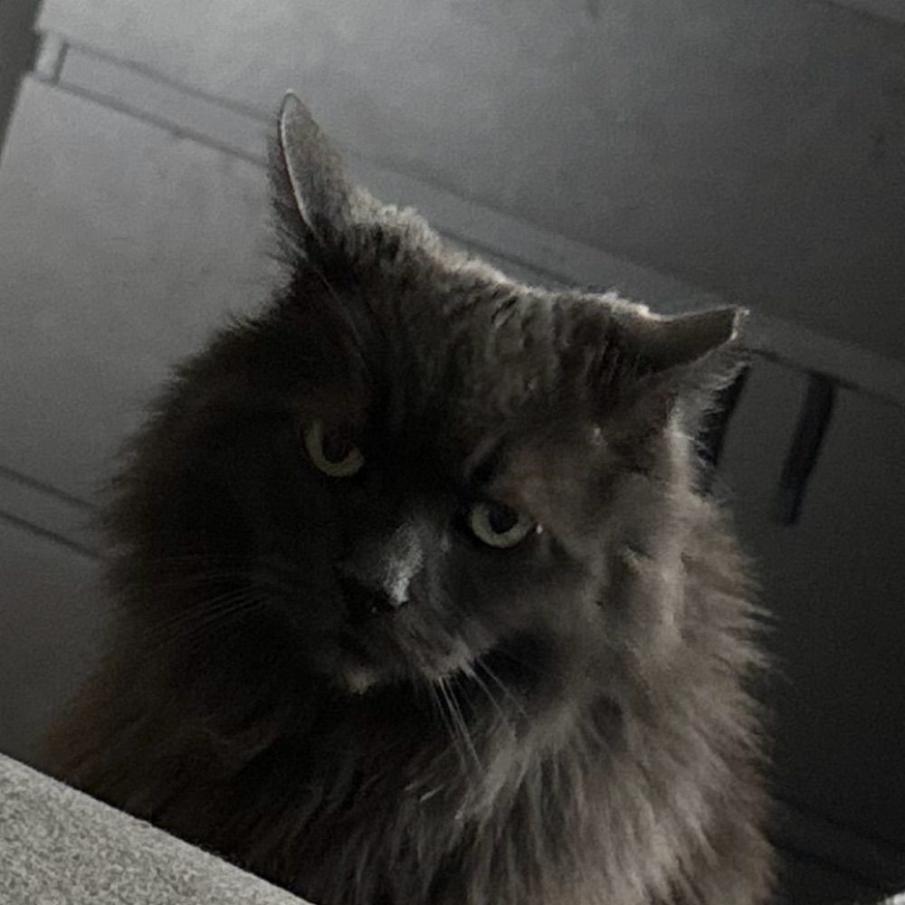 lenny