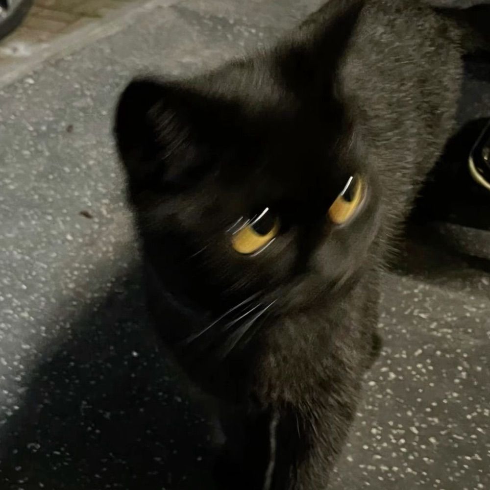 졸リ