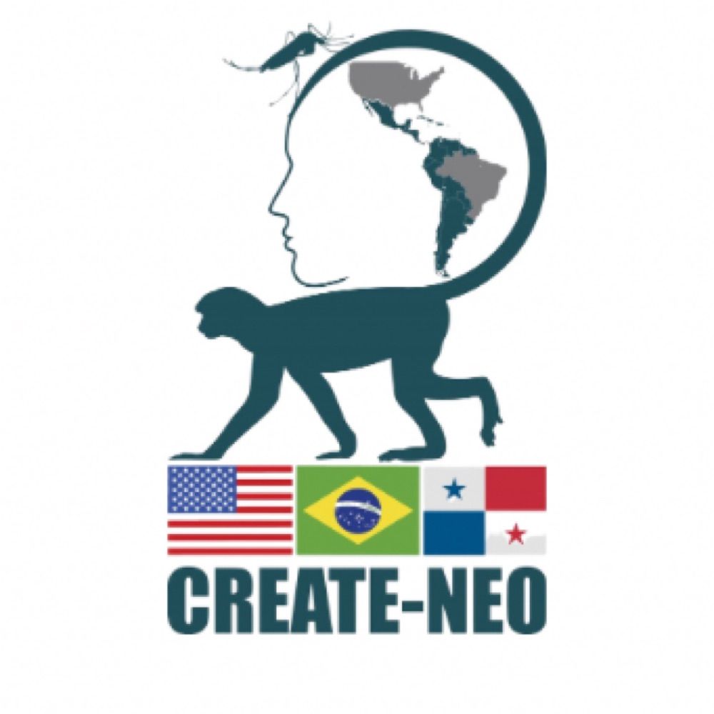 CREATE-NEO