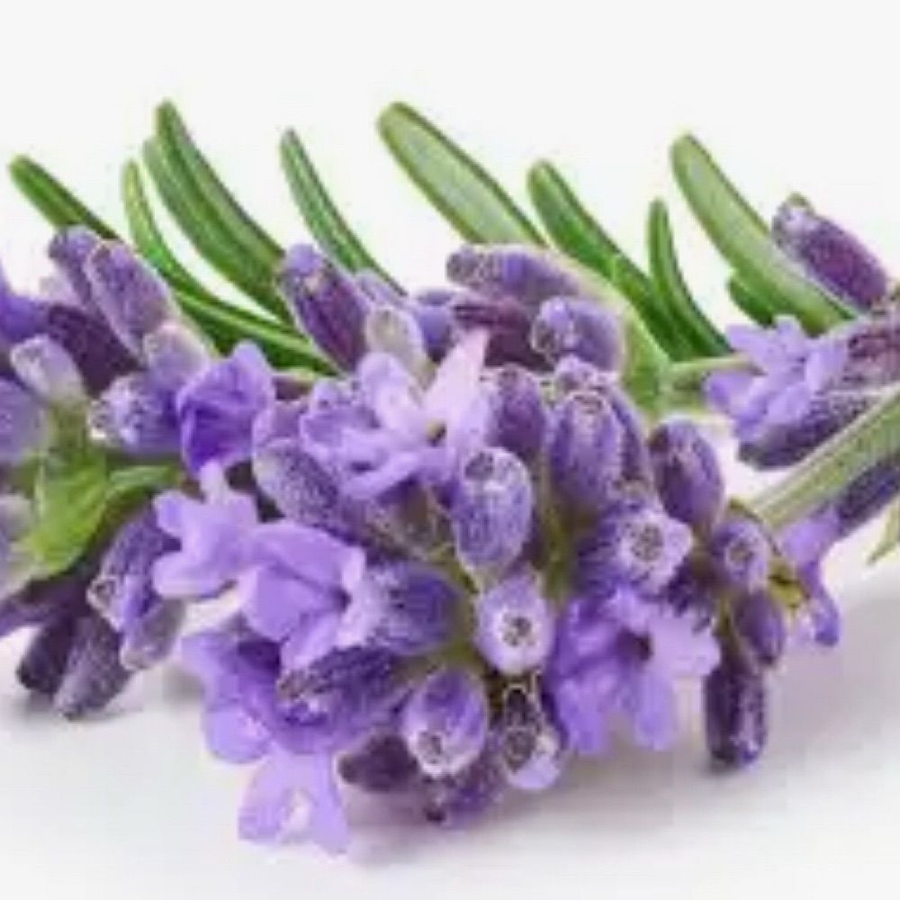 Doterra with Susan