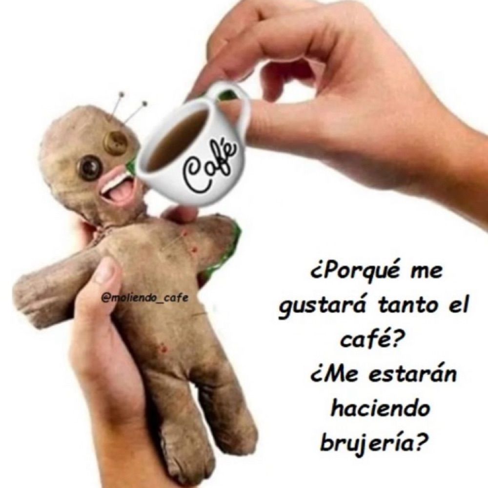 Luis f gamboa