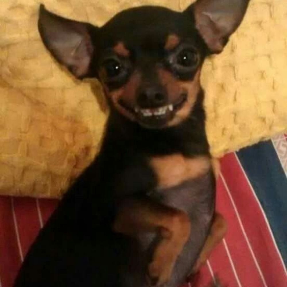 já que sou o jeito é ser 