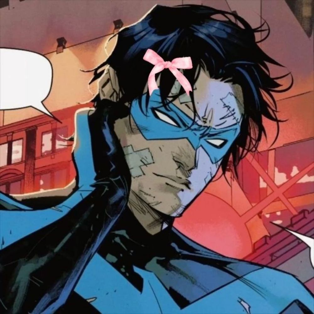 nightwing #1 follower