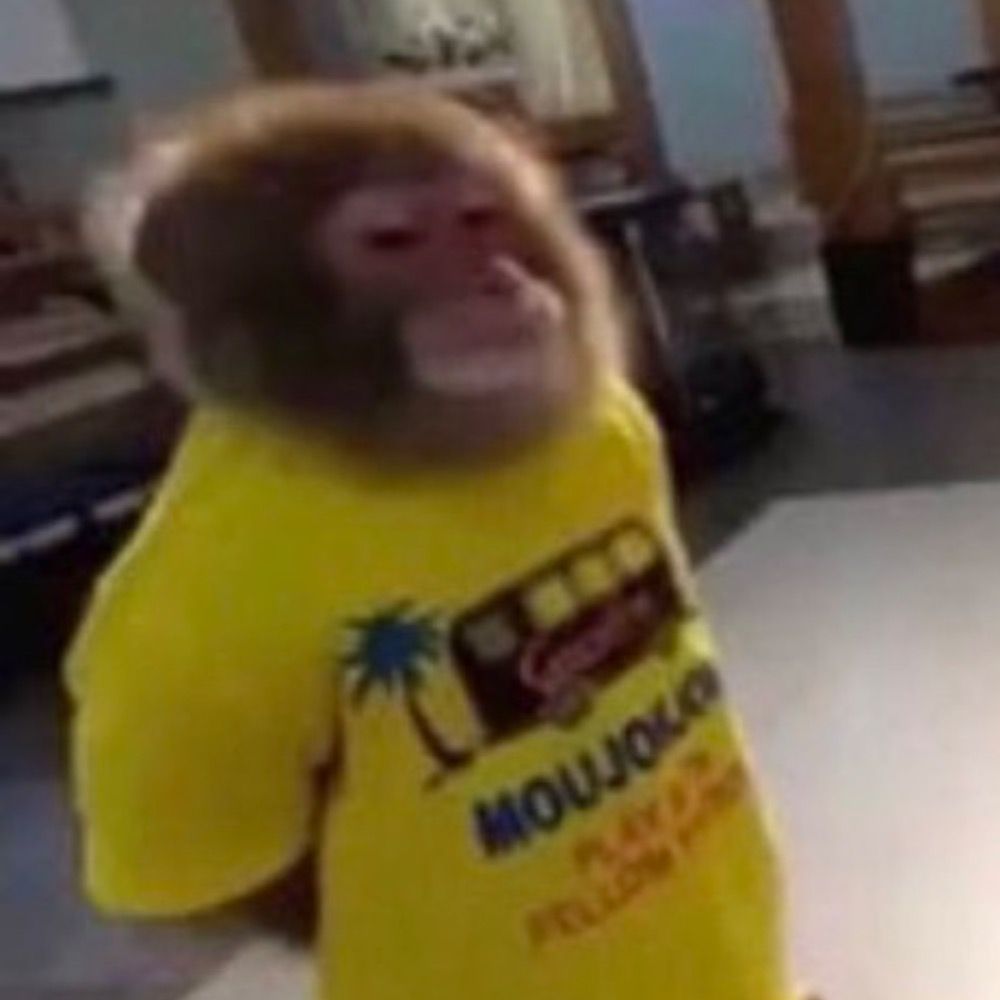 🔞Monke🔞