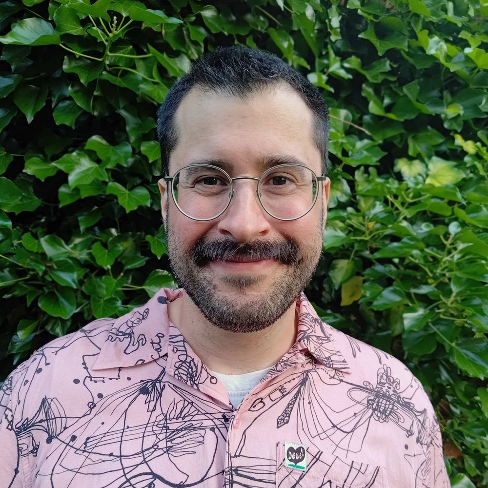 David Schmidt 