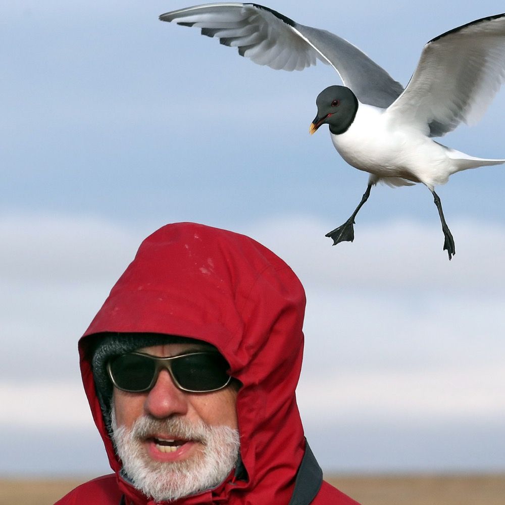 Bob Montgomerie