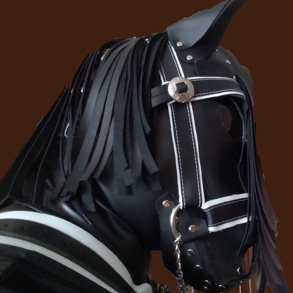 Azabache Pony