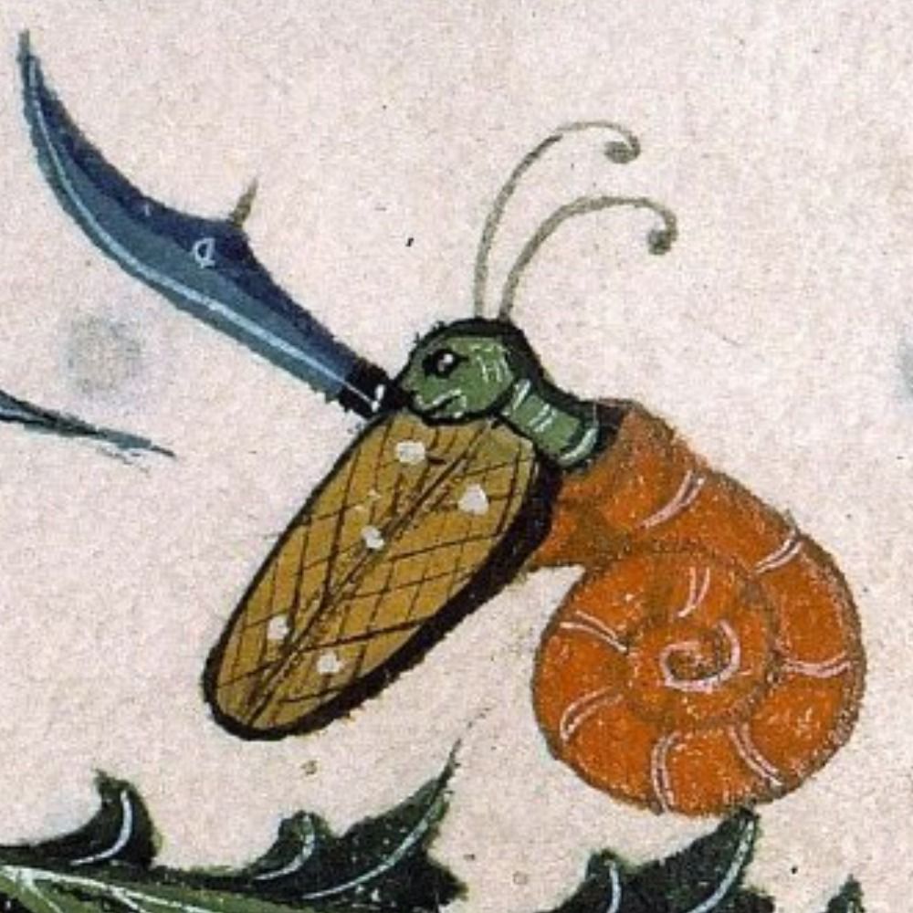 Armed Snail