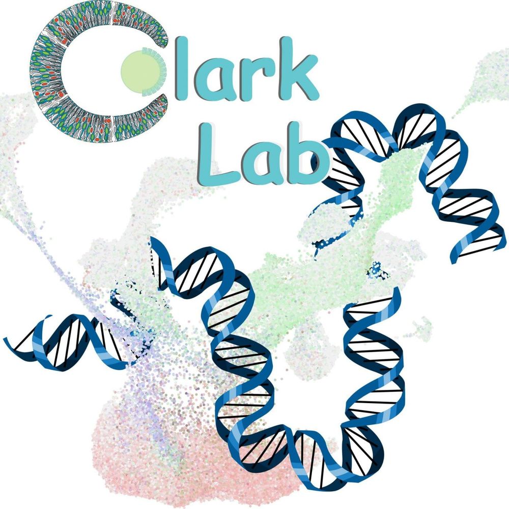 Brian Clark