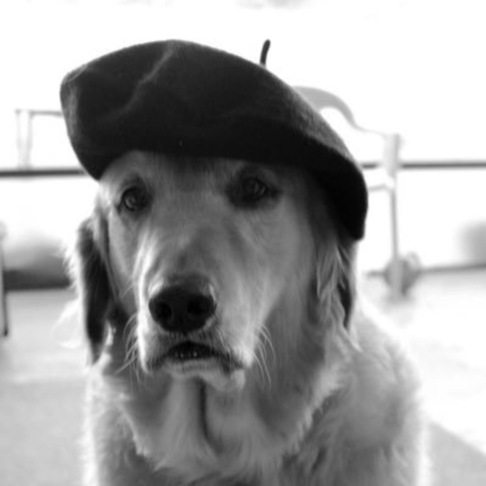 Le Dog