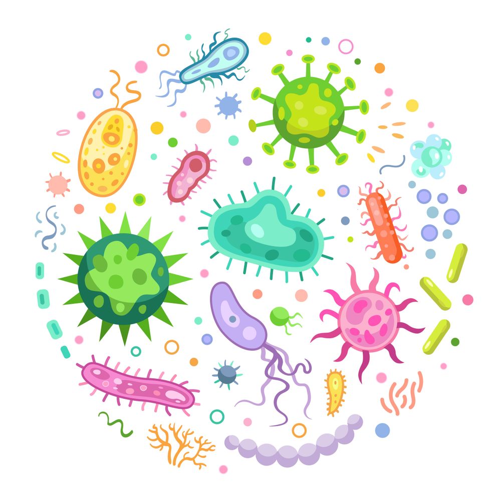 Microbiome research and race in the 'Local South'