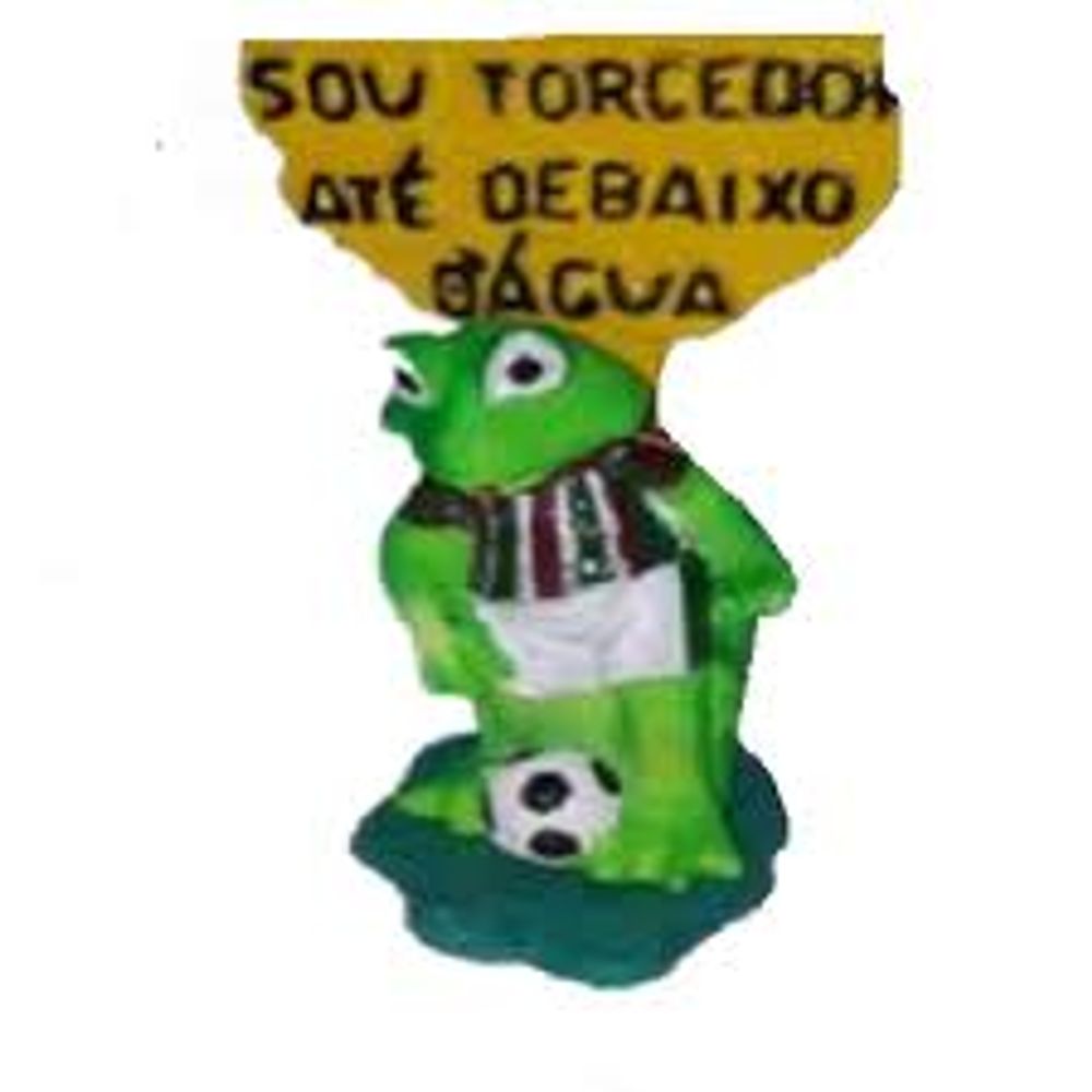 Sapo Cururu