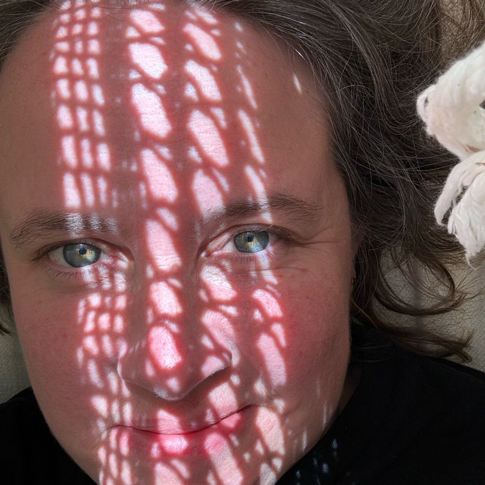 glenny brock