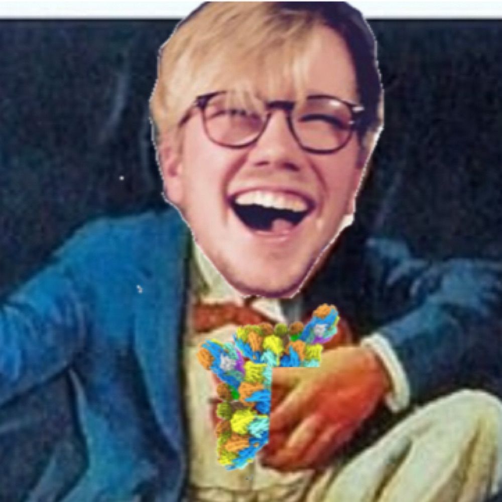 Martin Würtz